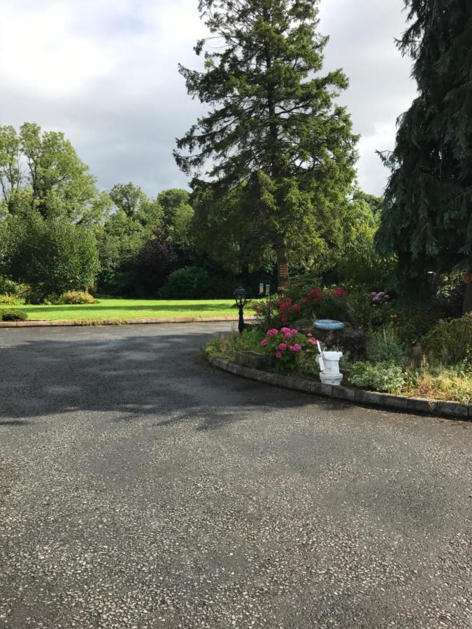 Log Cabin Armagh Luaran gambar